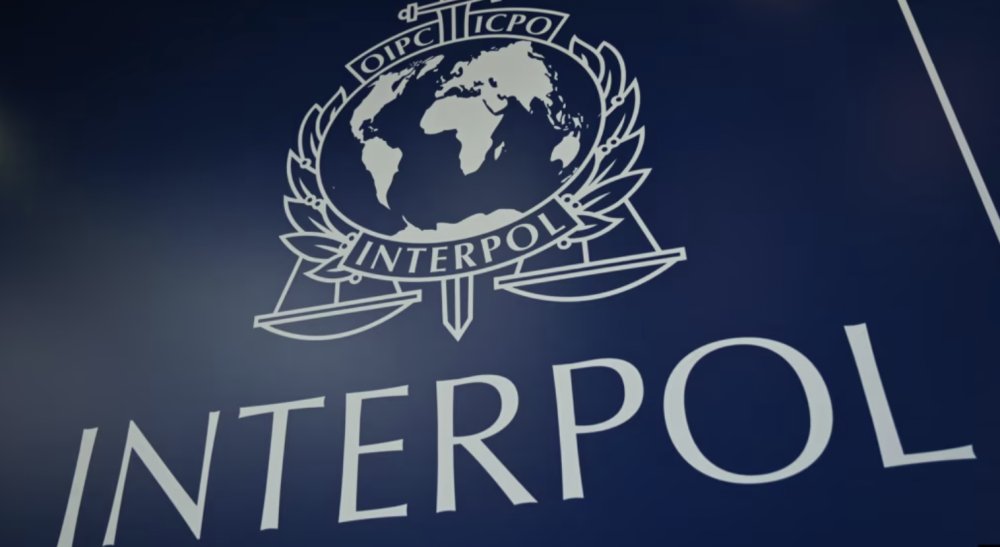 国际刑警（INTERPOL）CCF 审查程序