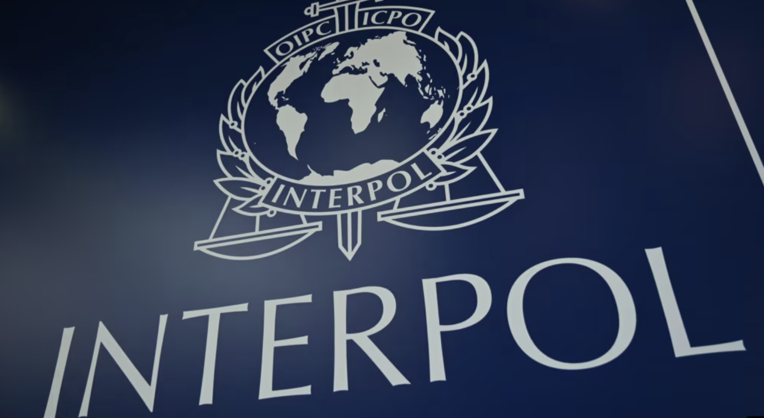 国际刑警（INTERPOL）CCF 审查程序