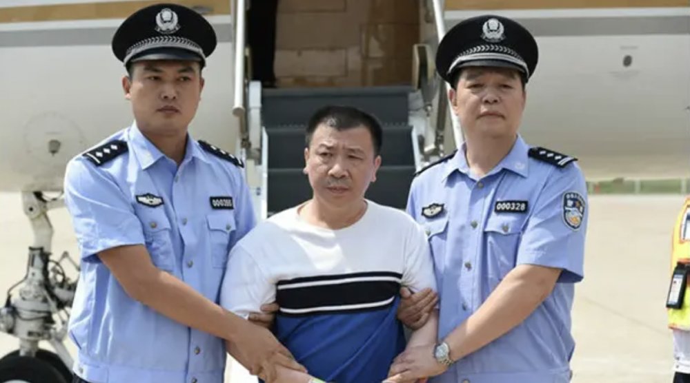 企业风险与高管涉红色通报（Red Notice）的专业法律分析