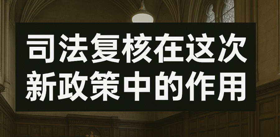 司法复核在对抗不公平新政策中的作用