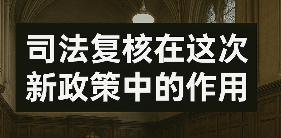 司法复核在对抗不公平新政策中的作用
