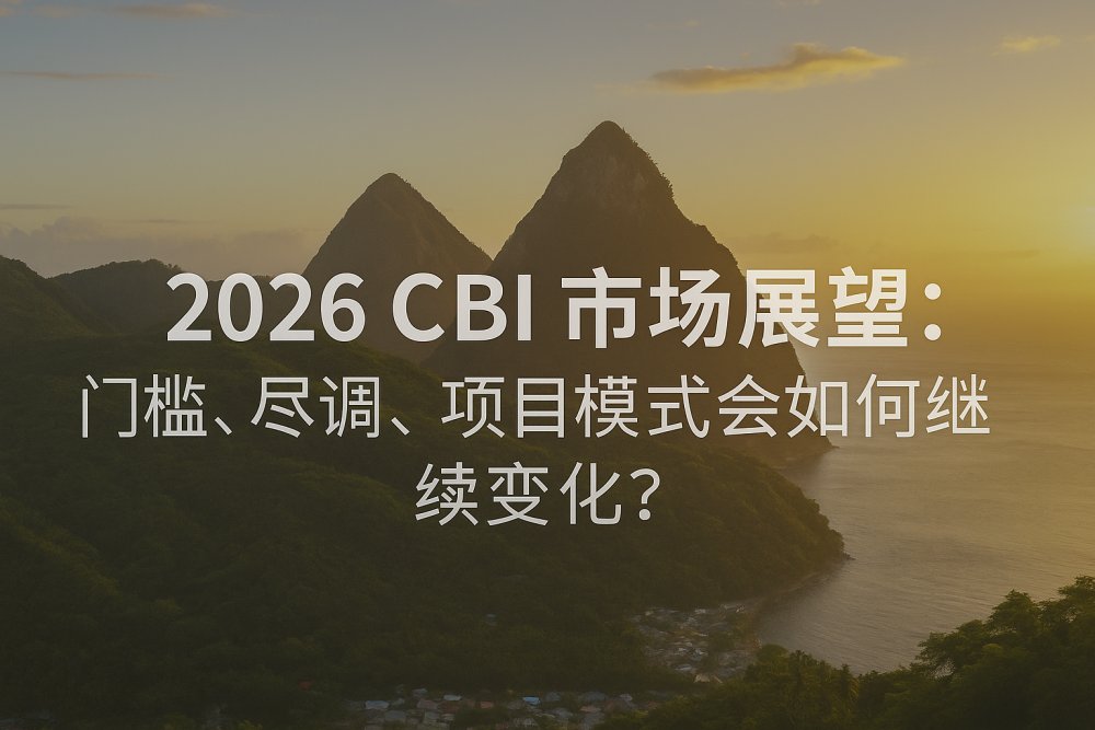 2026 CBI 市场展望：制度、投资额与尽调将如何演变？
