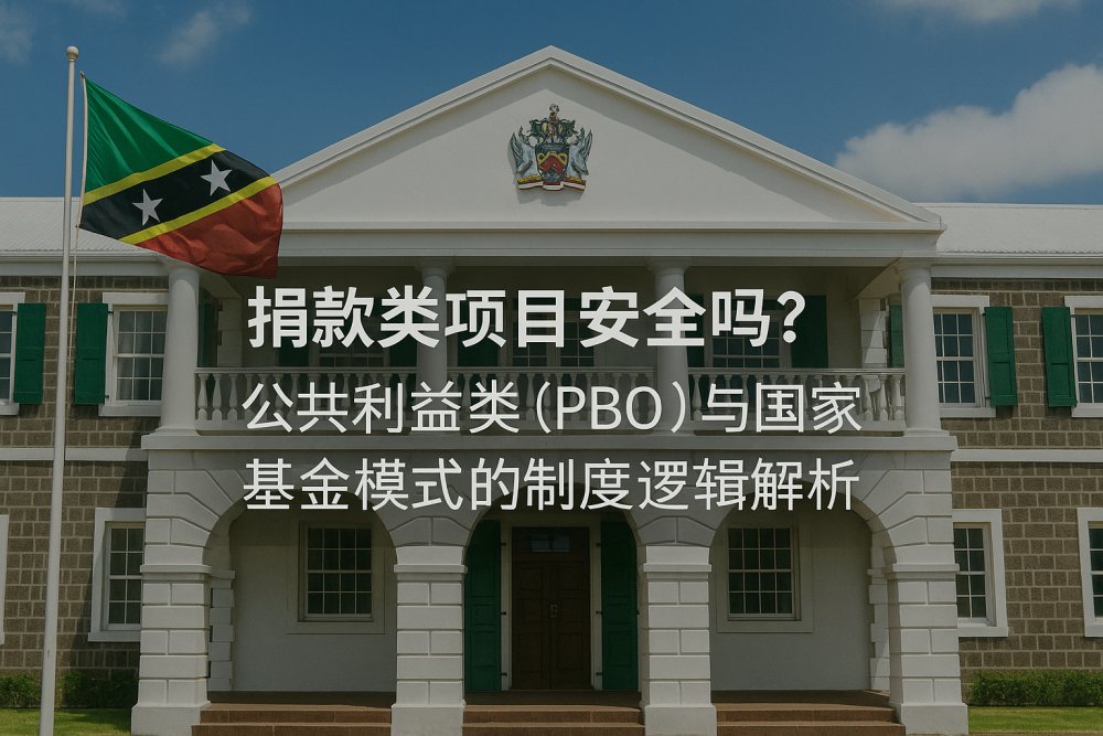捐款项目安全吗？公共利益类（PBO）与国家基金模式的制度逻辑深度分析