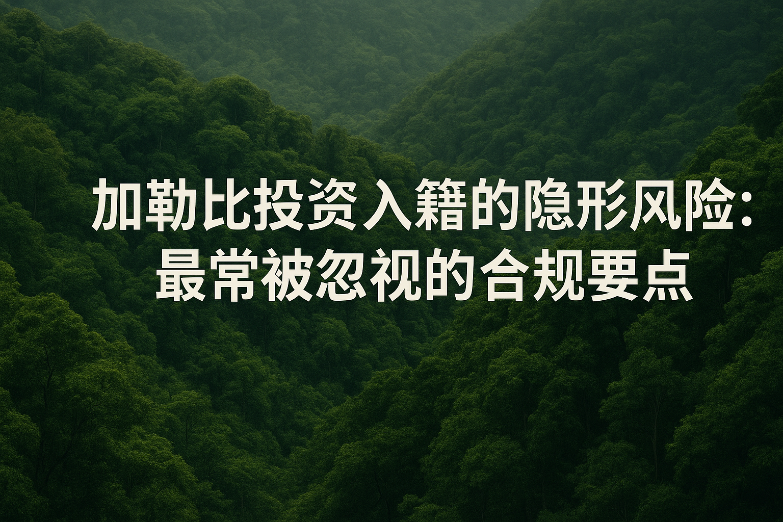 最常被忽视的 CBI 风险：从制度到申请人行为的隐蔽风险清单（附法规机制解析）