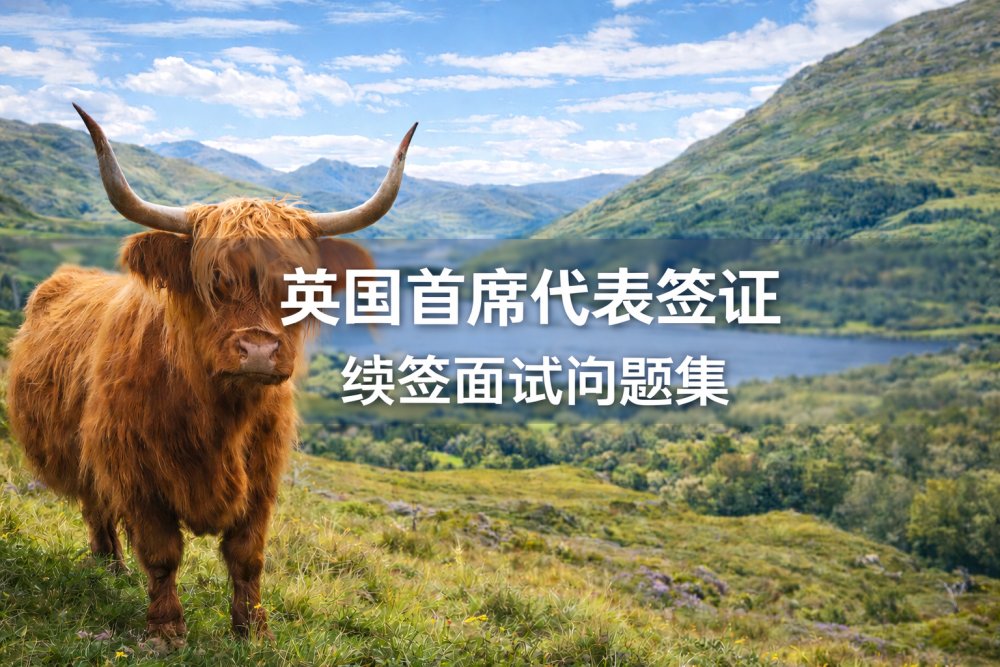 英国首席代表签证续签面试问题集