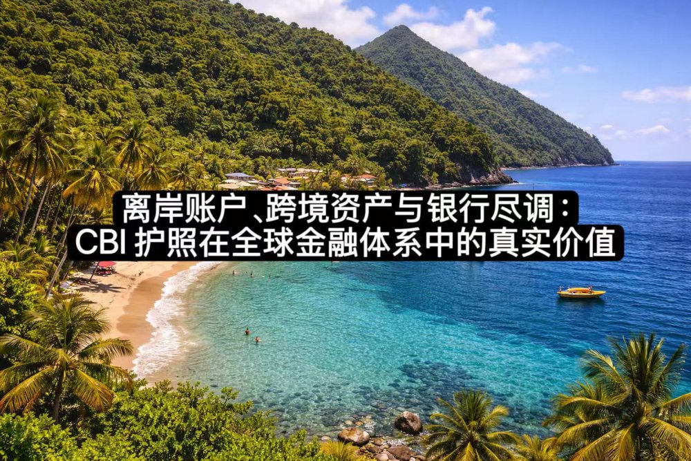 离岸账户、跨境资产与银行尽调：CBI 护照在全球金融体系中的真实价值