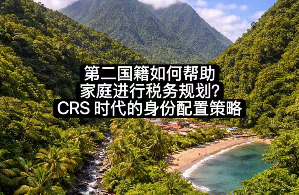 第二国籍如何帮助家庭进行税务规划？CRS 时代的身份配置策略