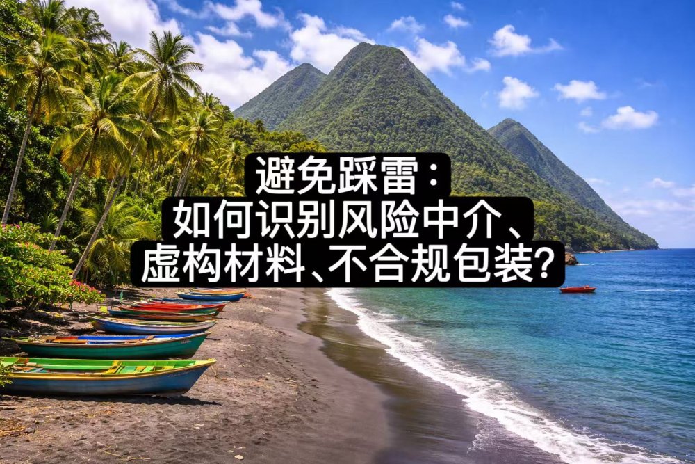 避免踩雷：如何识别风险中介、虚构材料、不合规包装？