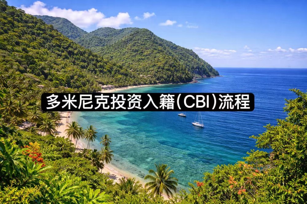🇩🇲 多米尼克投资入籍（CBI）流程