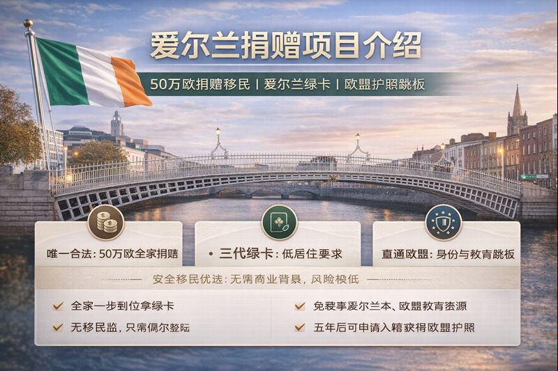 爱尔兰移民捐赠 €40 万项目全解析