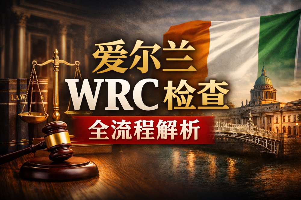 爱尔兰 WRC 检查全流程实战经验分享（雇主必读）