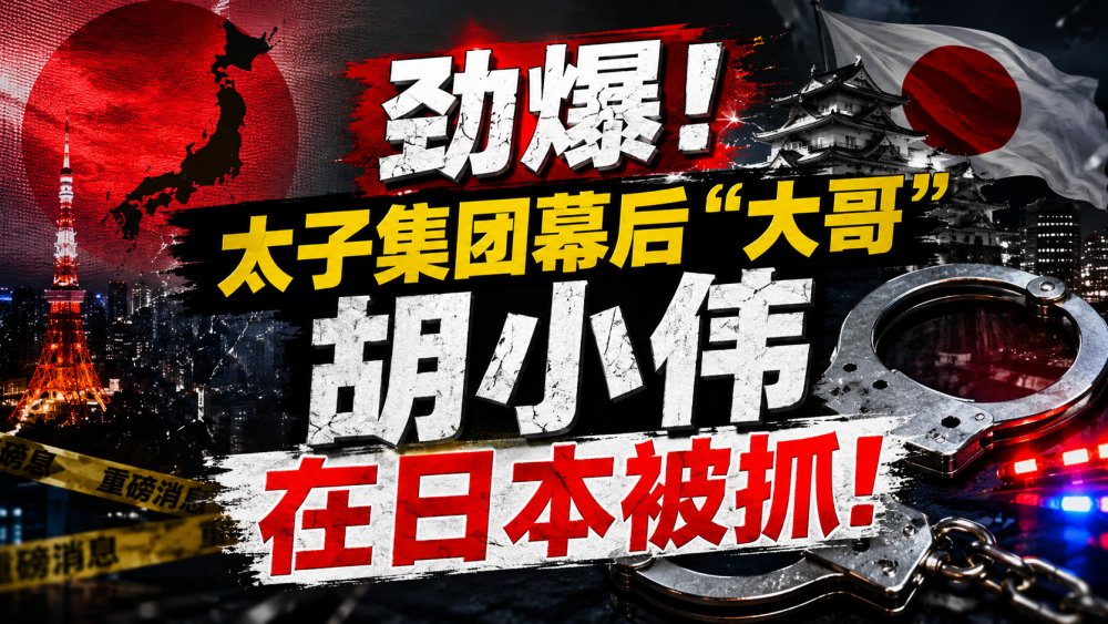 劲爆！太子集团幕后“大哥”胡小伟在日本被抓：东京一夜，首尔转手，北京收网？