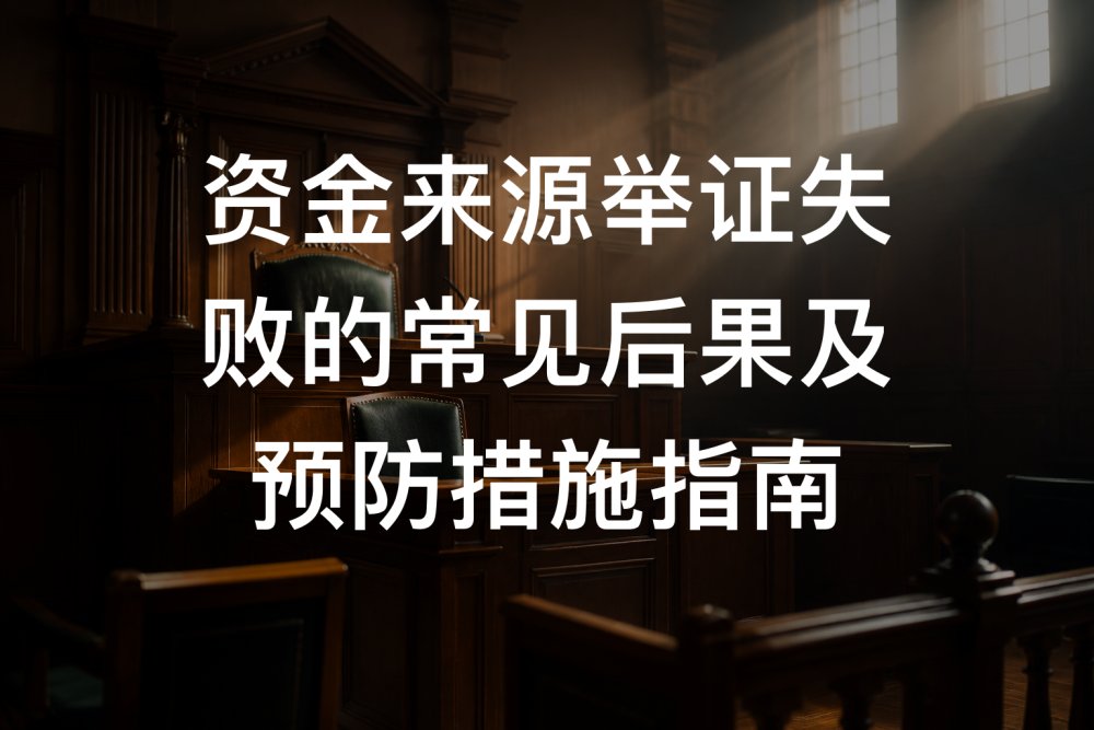 资金来源举证失败的常见后果及预防措施指南