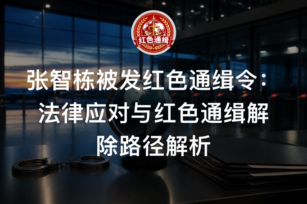 张智栋被发红色通缉令：法律应对与红色通缉解除路径解析