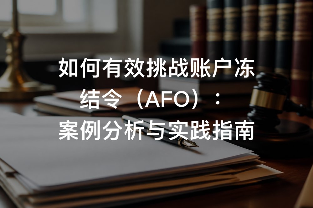 如何有效挑战账户冻结令（AFO）：案例分析与实践指南