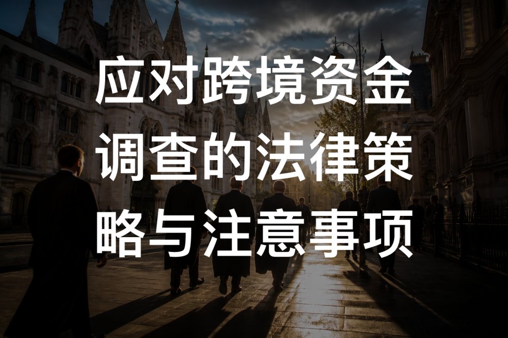 应对跨境资金调查的法律策略与注意事项