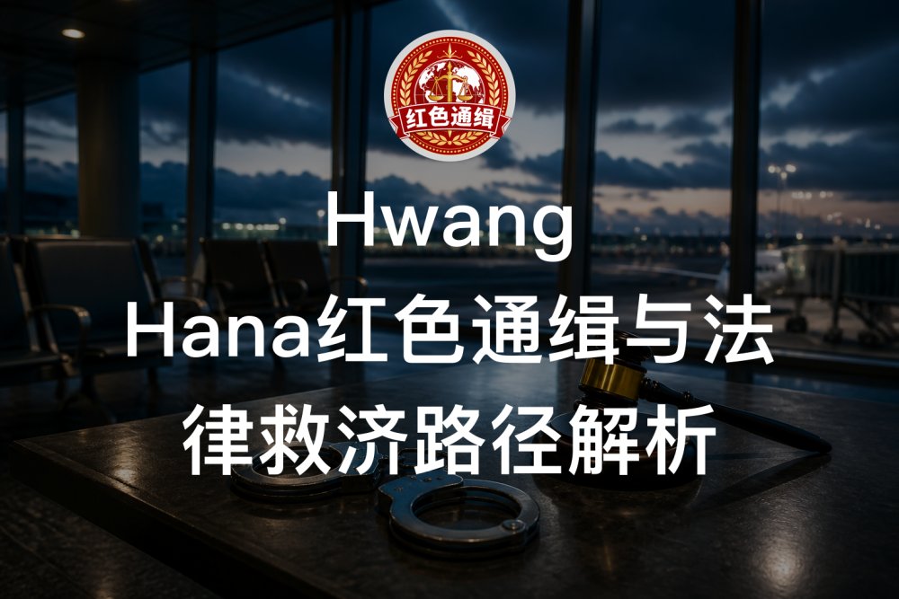 Hwang Hana红色通缉与法律救济路径解析