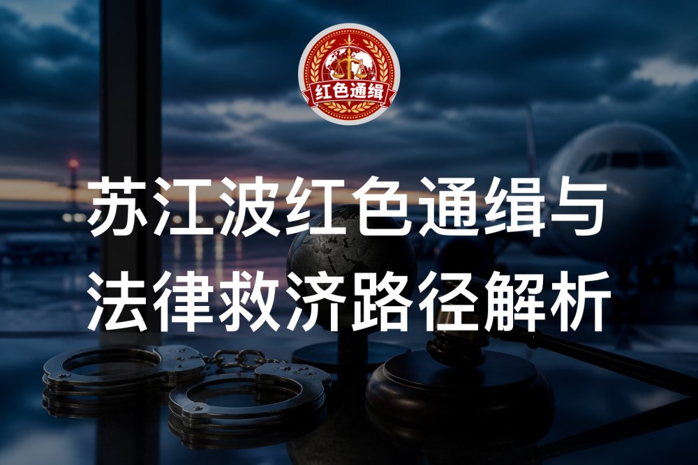 苏江波红色通缉与法律救济路径解析