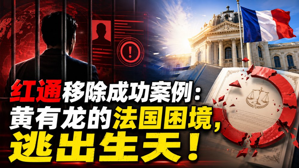 红通移除成功案例｜黄红色通知为何被删除？关键不是直接申请CCF？而是法国法院先否决中国引渡请求