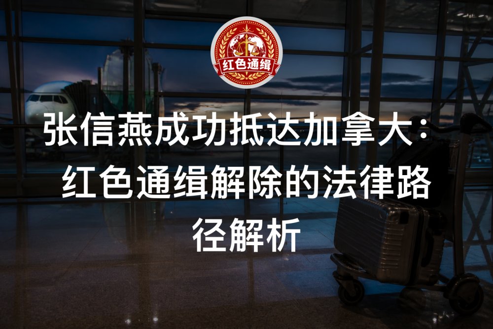 张信燕成功抵达加拿大：红色通缉解除的法律路径解析
