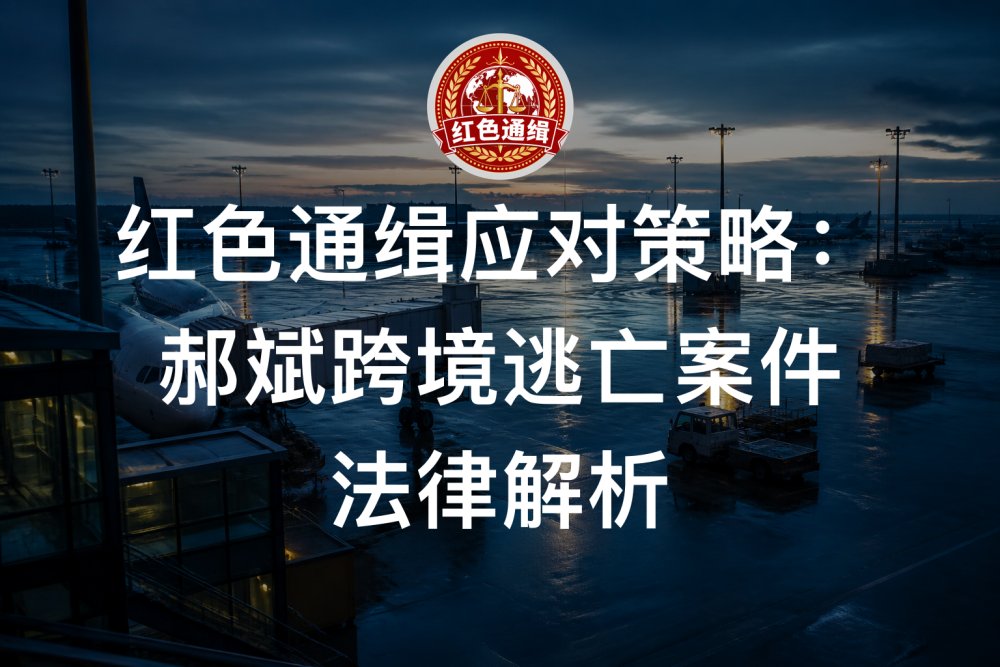 红色通缉应对策略：郝斌跨境逃亡案件法律解析