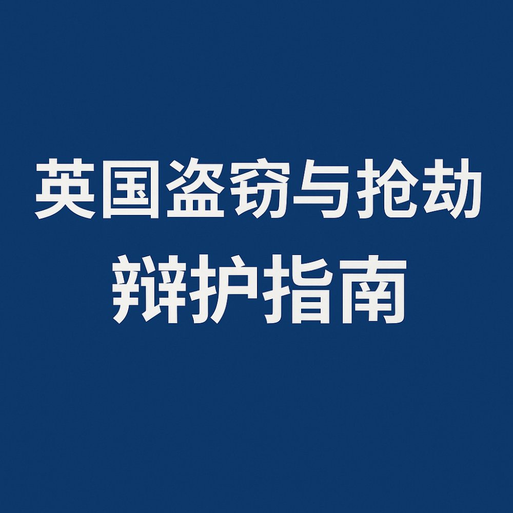 超市盗窃辩护 preview