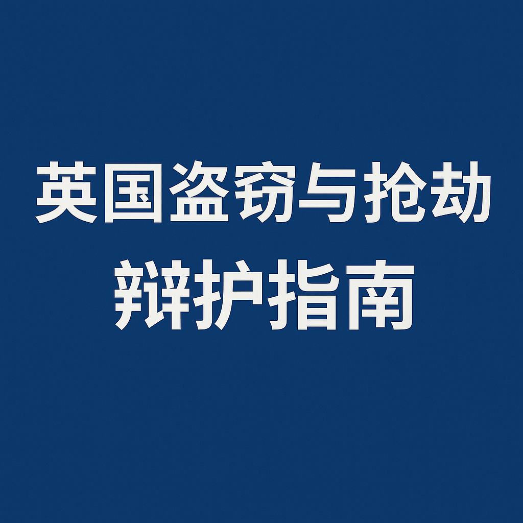 超市盗窃辩护 preview