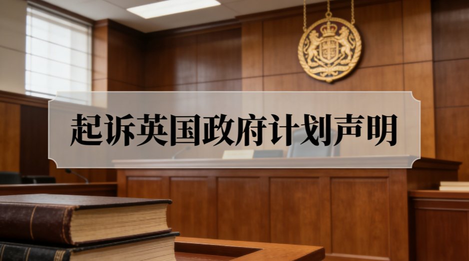 起诉英国政府的行动计划声明