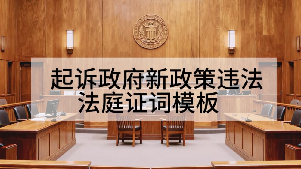 起诉政府新政策违法，法庭证词模版