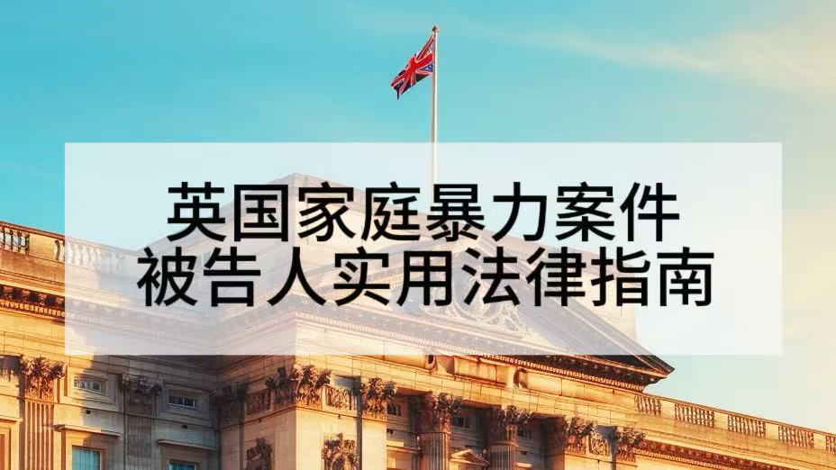 英国家庭暴力案件： 被告人实用法律指南 preview